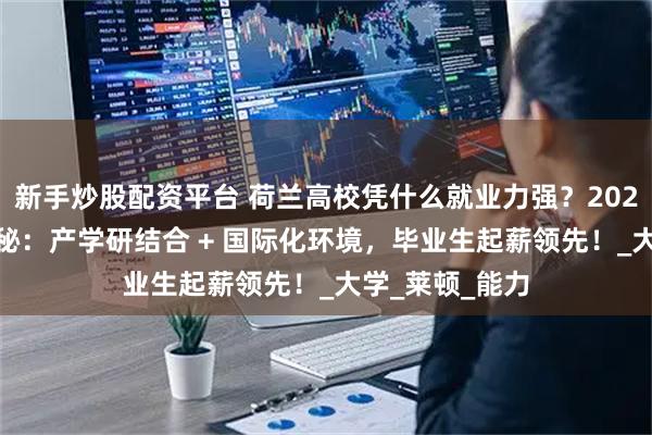 新手炒股配资平台 荷兰高校凭什么就业力强？2025 全球排名揭秘：产学研结合 + 国际化环境，毕业生起薪领先！_大学_莱顿_能力